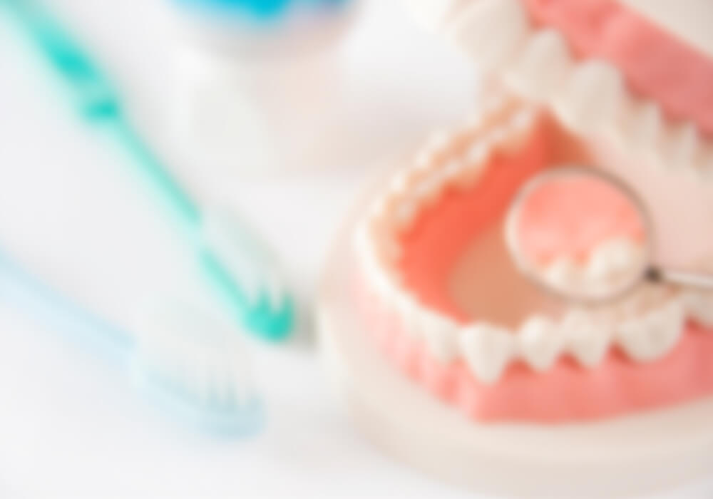 歯の模型 デンタルミラー 歯ブラシのイメージ