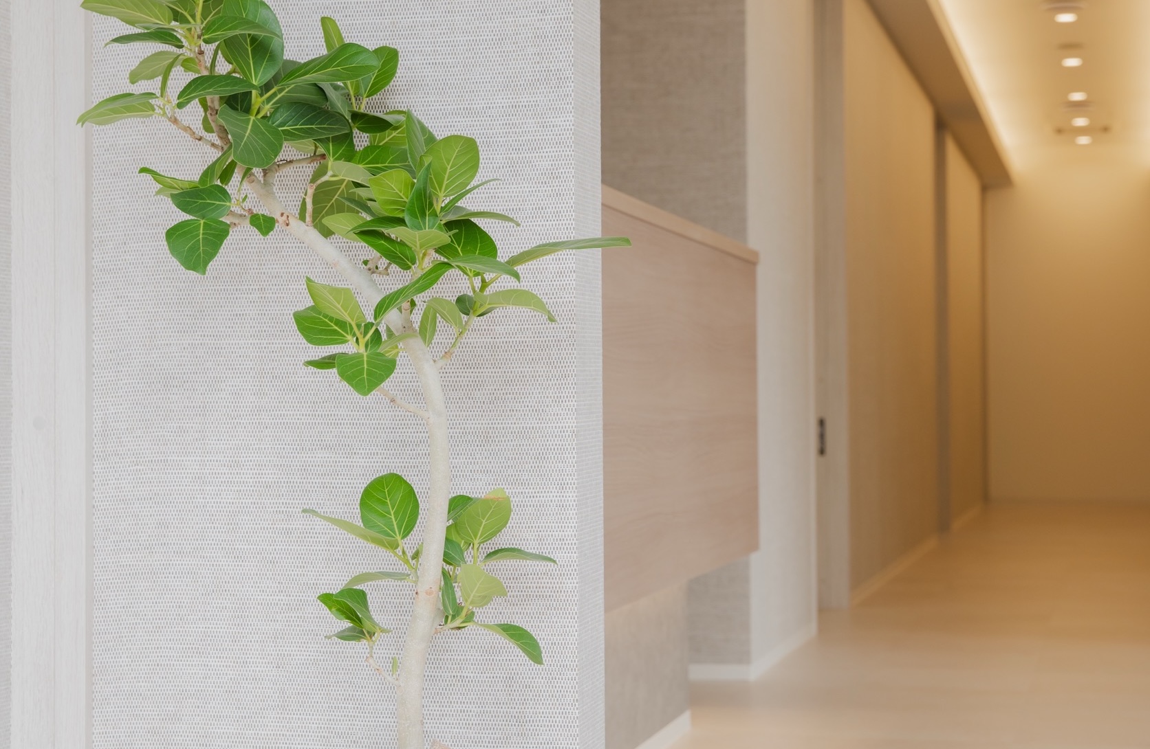 メインビジュアル01（PC）